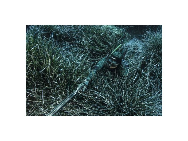 Técnicas de pesca submarina