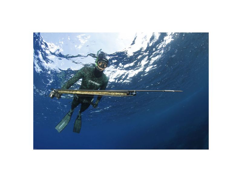 Escoge tu Fusil de Pesca Submarina