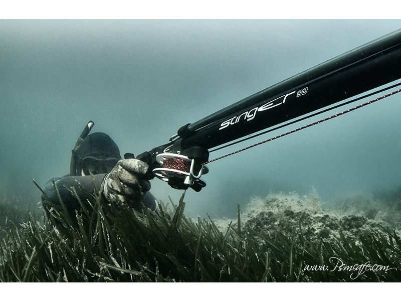 Los indispensables de la pesca submarina a ¡BAJO PRECIO!