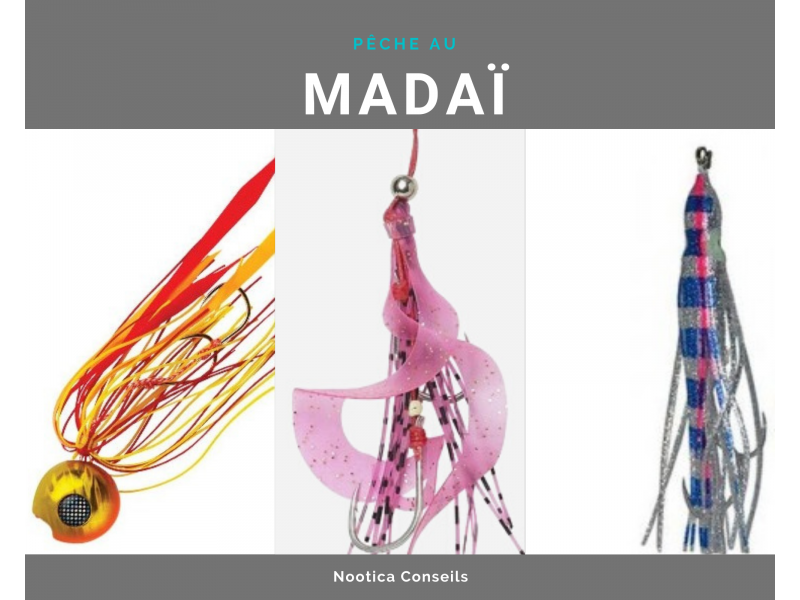 Los secretos de la pesca del madaï