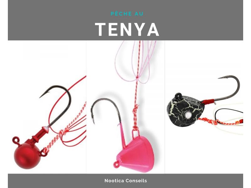 Descubre la pesca con tenya