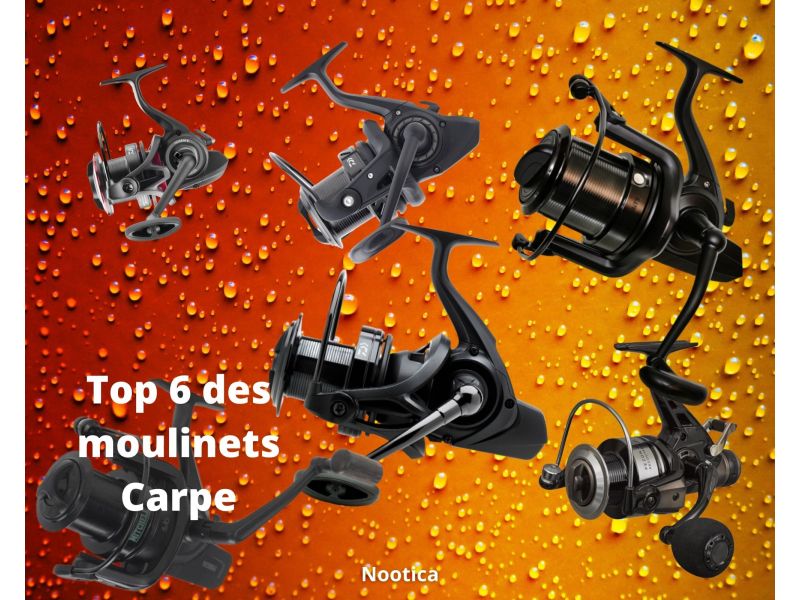 Los 6 mejores carretes para el carpfishing
