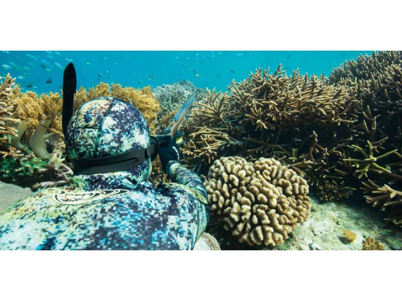 ¿Cómo montar o armar el fusil de pesca submarina?