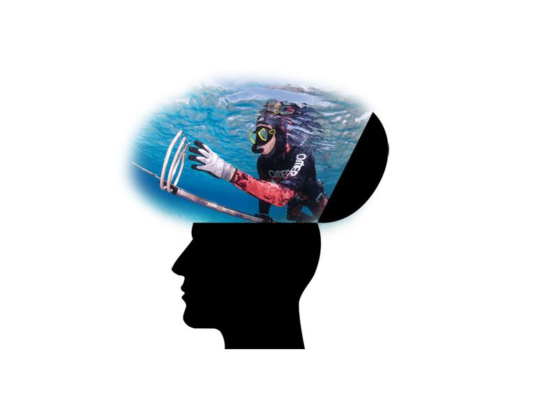 Los beneficios de la pesca submarina en nuestro cerebro -  - Todo  para tus actividades náuticas