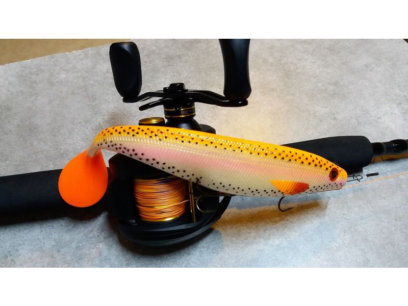 Lo esencial de la pesca con señuelos