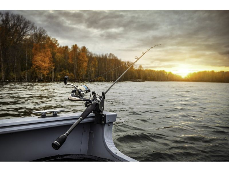 Descubriendo la pesca vertical