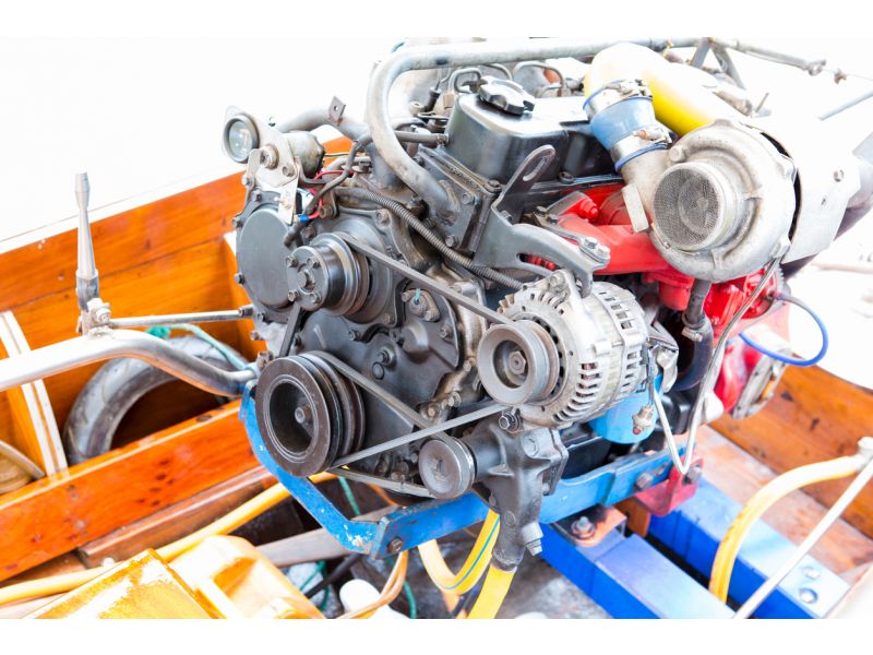 ¿Para qué sirve la grasa marina?