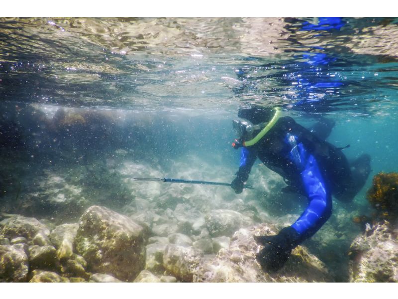 Pesca subacquea con un arpón hawaiano : cosa c'è da sapere