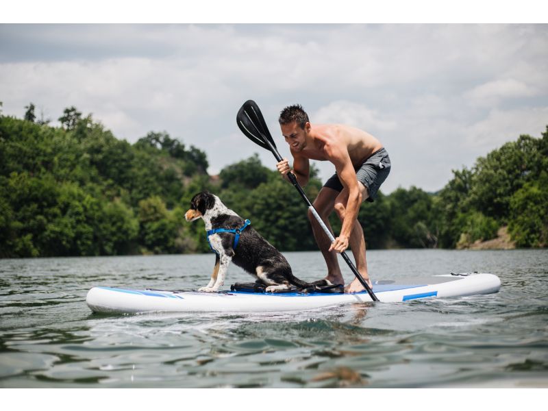 Practicar el Paddle surf con tu perro