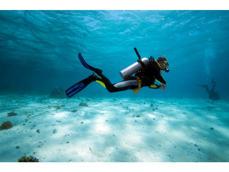 Las 4 mejores aletas de buceo