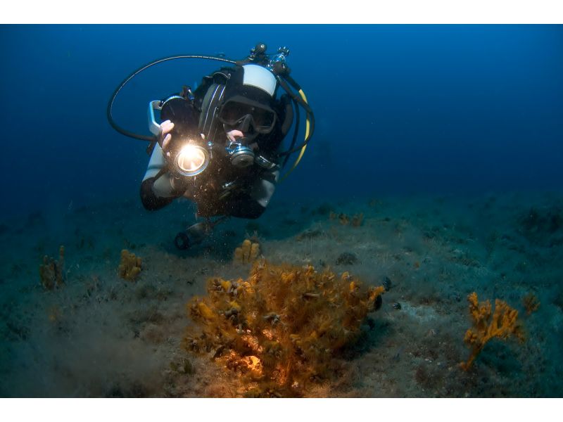 Cómo elegir tu linterna de buceo