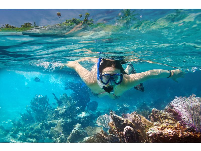 Todo lo que necesitas saber sobre el snorkel