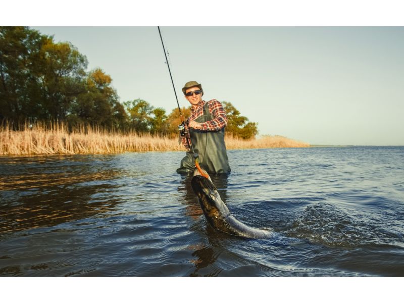 ¿Qué carrete elegir para la pesca del lucio?