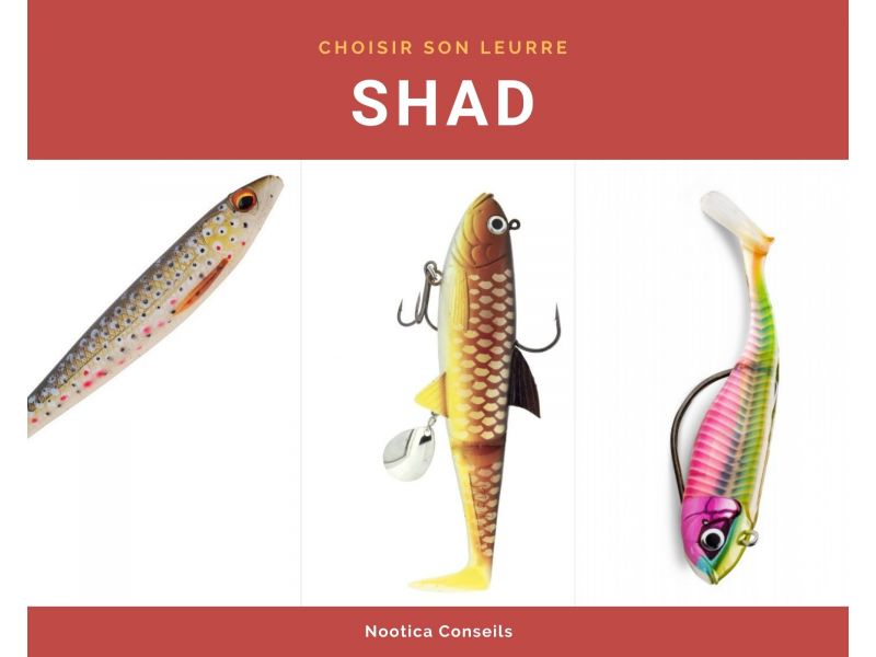 ¿Cómo elegir el señuelo blando shad adecuado?