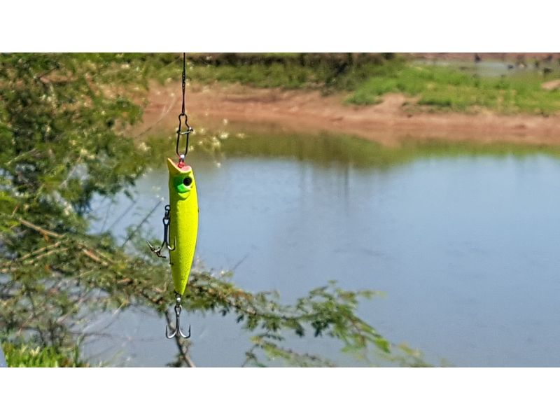 ¿Qué son los señuelos de superficie?