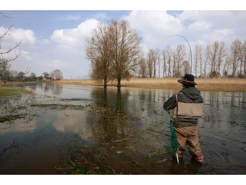 La pesca en agua dulce