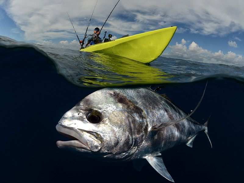 Conoces la pesca en kayak?