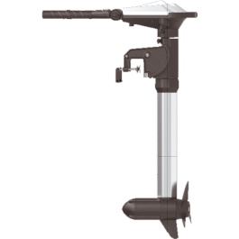 Motor eléctrico Haswing Ventura T 5.0