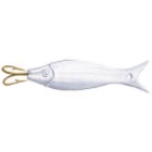 Pez Romanichel 15 gr