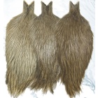 Cuello de gallo Leon Whiting Pardo medio