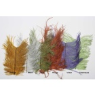 Plumas JMC Avestruz Plumas de cebra Chartreuse