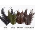 Plumas JMC Avestruz Marrón