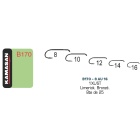 Anzuelos KAMASAN B170 - Caja de 25 - H10