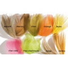 JMC Mallard Flank Yellow