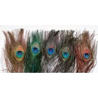 Oeil De Paon JMC Tinte Naranja Natural