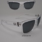 Gafas Polarizadas C&C Fishing Protecnium - 310 índice 3