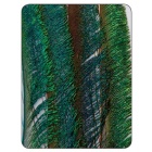 JMC Peacock Sword Orange Dyed