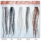 Plumas Leon Whiting Microbarb 100's Gris claro