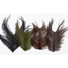 Plumas JMC Avestruz