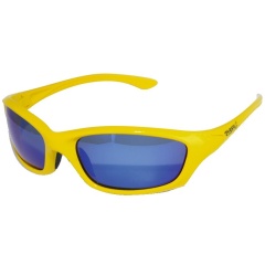 Gafas de sol Black CAT Buster Sunglass