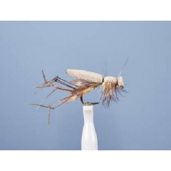 Mosca terrestre JMC Cousin 11 BL H10