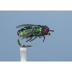 JMC Ground Fly JMC Black Fly H10