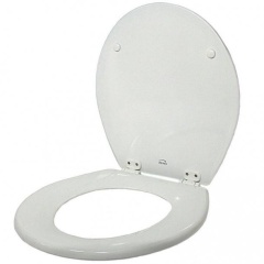 Asiento del inodoro Jabsco