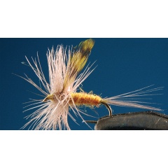 Juego de 2 moscas efímeras Ritrogena