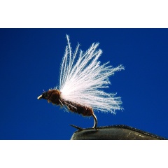 Juego de 2 moscas negras para hormigas