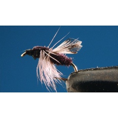 Juego de 2 moscas terrestres Black Fly