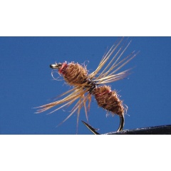 Juego de 2 hormigas marrones