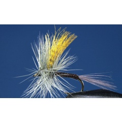 Juego de 2 moscas efímeras Gordon Quill