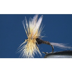 Juego de 2 moscas Baetis Niger