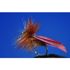 Juego de 2 tricópteros marrones