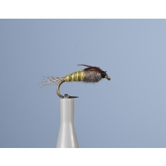 Ninfa voladora JMC Bm 14 H14