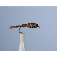 Ninfa voladora JMC Bm 26 H16