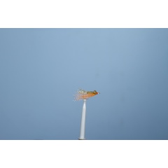 JMC Bone 1 H6 Sea Fly JMC Bone 1 H6