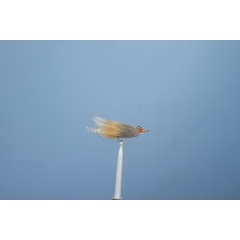 Hueso JMC 13 H4 Mosca de mar Mosca carnívora Hueso JMC 13 H4