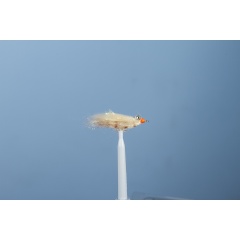 Carnívoro de la mosca de mar JMC Hueso 14 H6