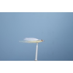 JMC Bone 8 H6 Sea Fly JMC Bone 8 H6